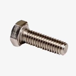 SS Hex Bolts