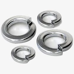 SS Spring Washers